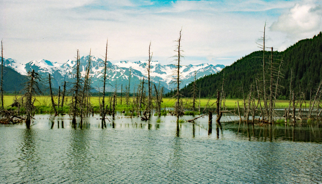 Blick auf die Chugach Mountains am Seward Highway
