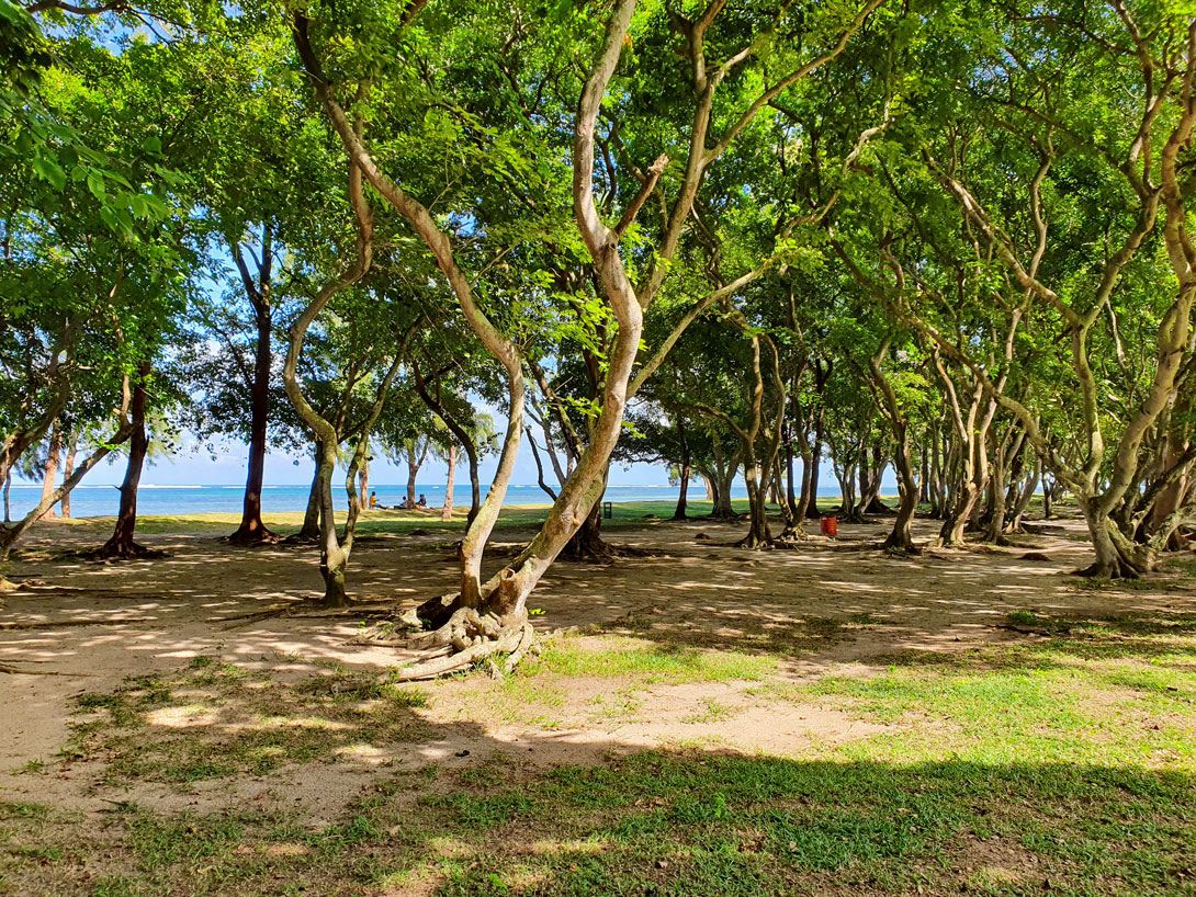 Öffentlicher Strand und Beachpark Bel Ombre