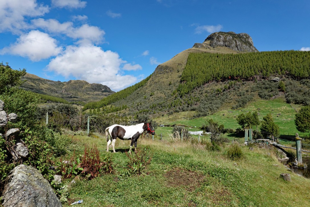 Cajas Nationalpark