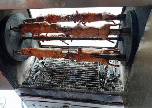 Meerschweinchen auf dem Grill