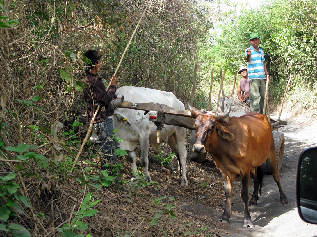 Feldweg bei León Schmale Straße bei León in Nicaragua