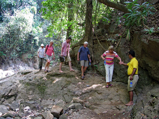 Pfad im Chagres Nationalpark