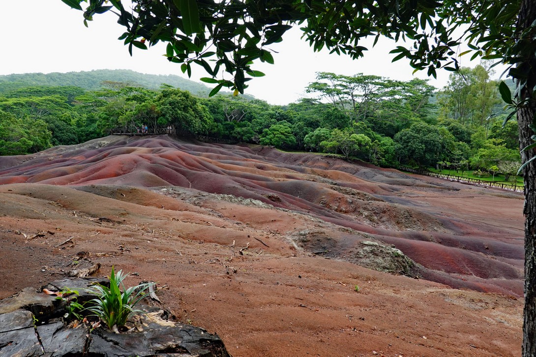 Chamarel 7 Coloured Earth