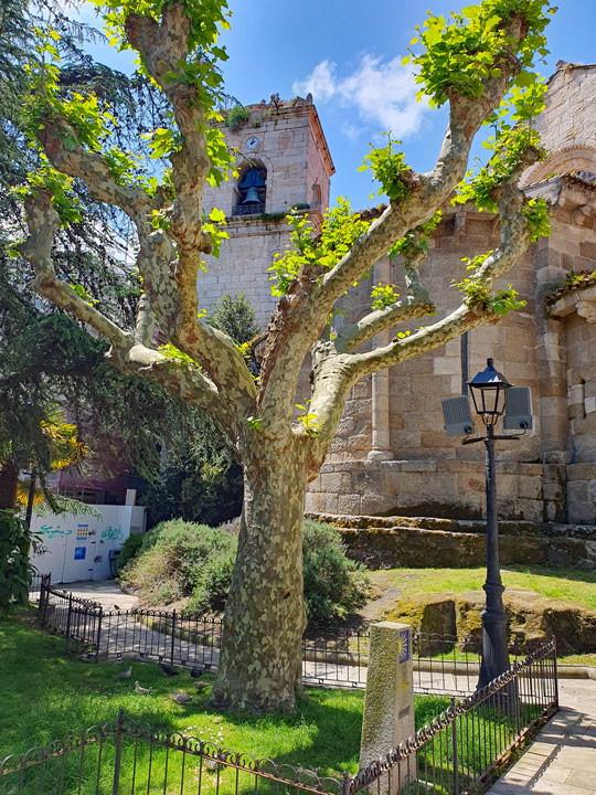 Garten vor der Jakobuskirche in A Coruña mit dem Stein vom Jakobsweg