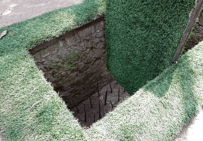 Falle mit einer Schwingklappe