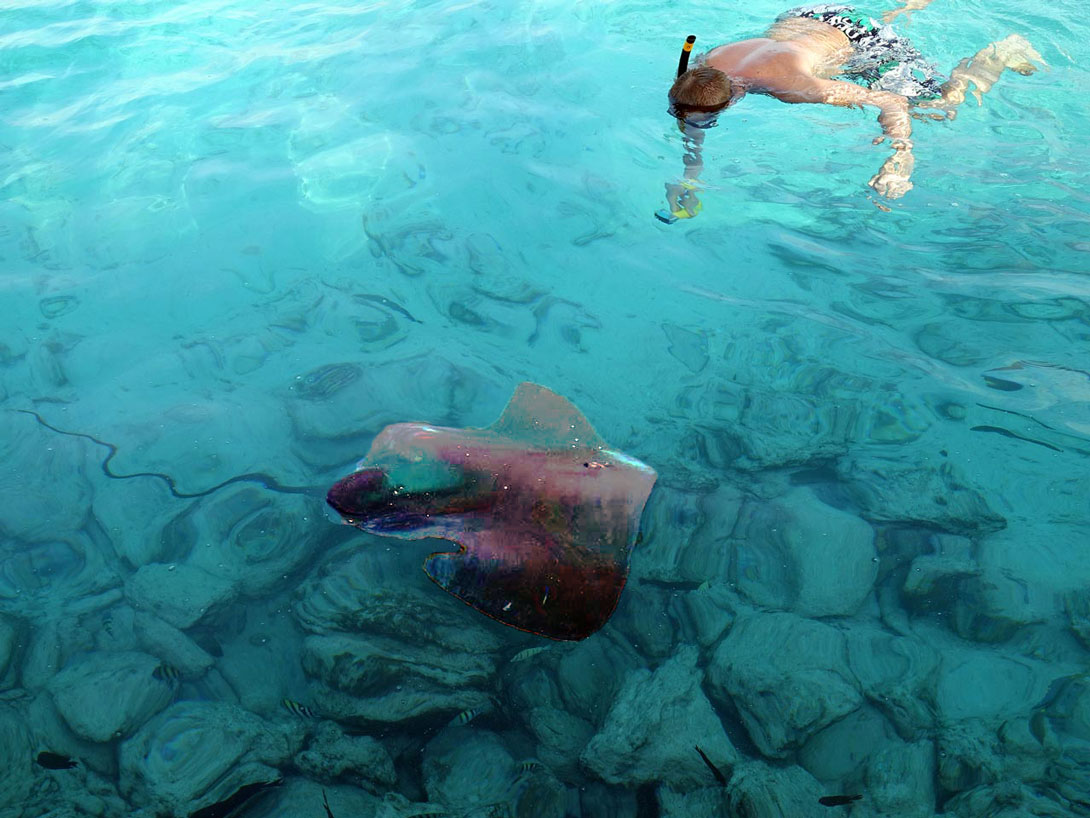 Schnorchler am Anleger Summerisland Village