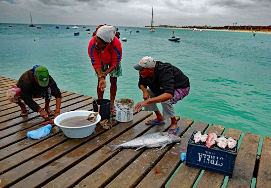 Fischer verkaufen ihren Fang auf dem Pier
