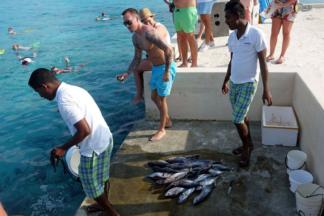 Fischfütterung Summerisland Village
