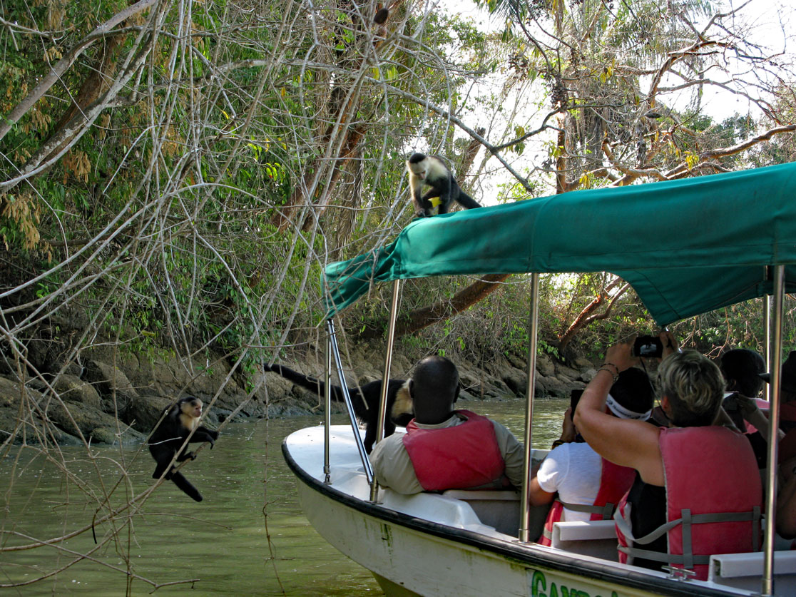 Monkey Island Gatun See