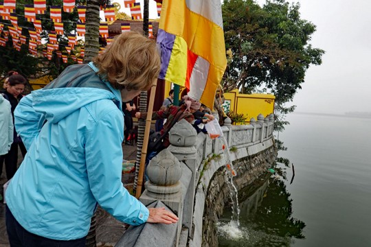 Die Fische werden in den See geschüttet