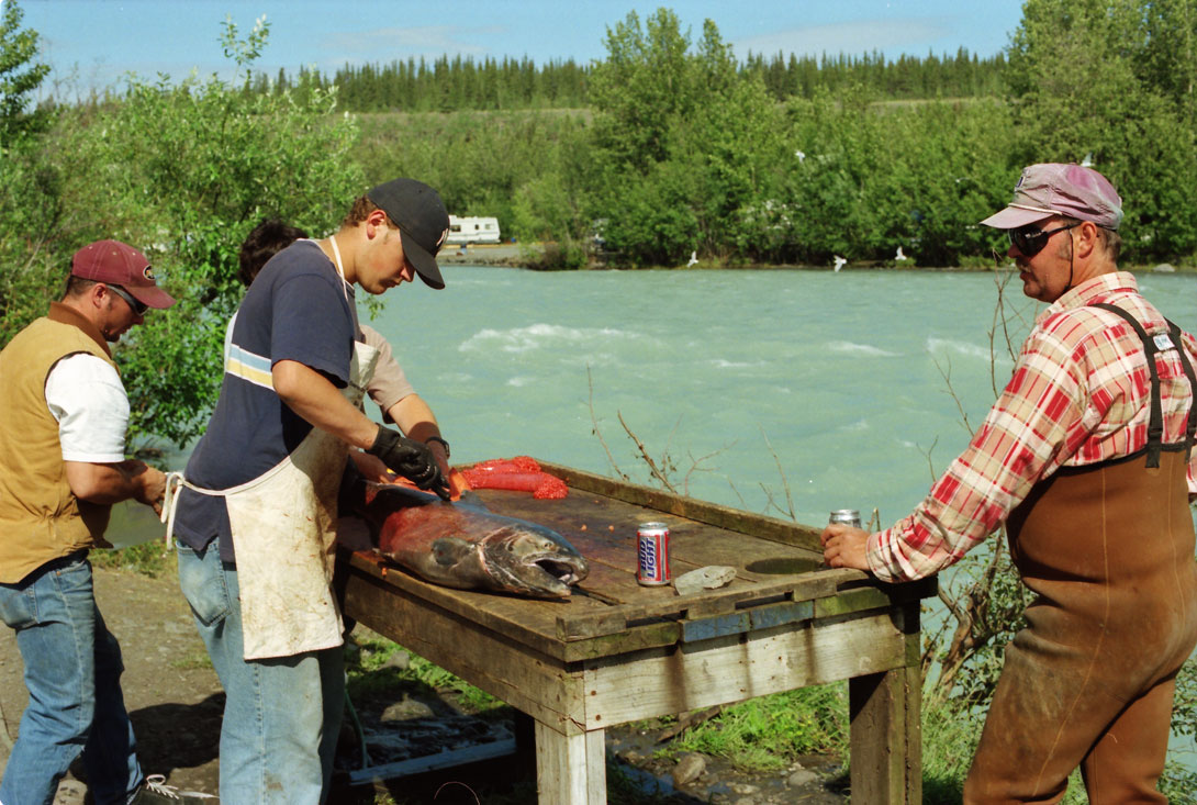 Lachszerlegung am Klutina River