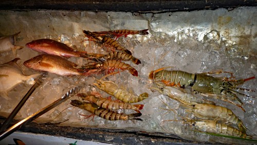 Lobster, Garnelen und Fische