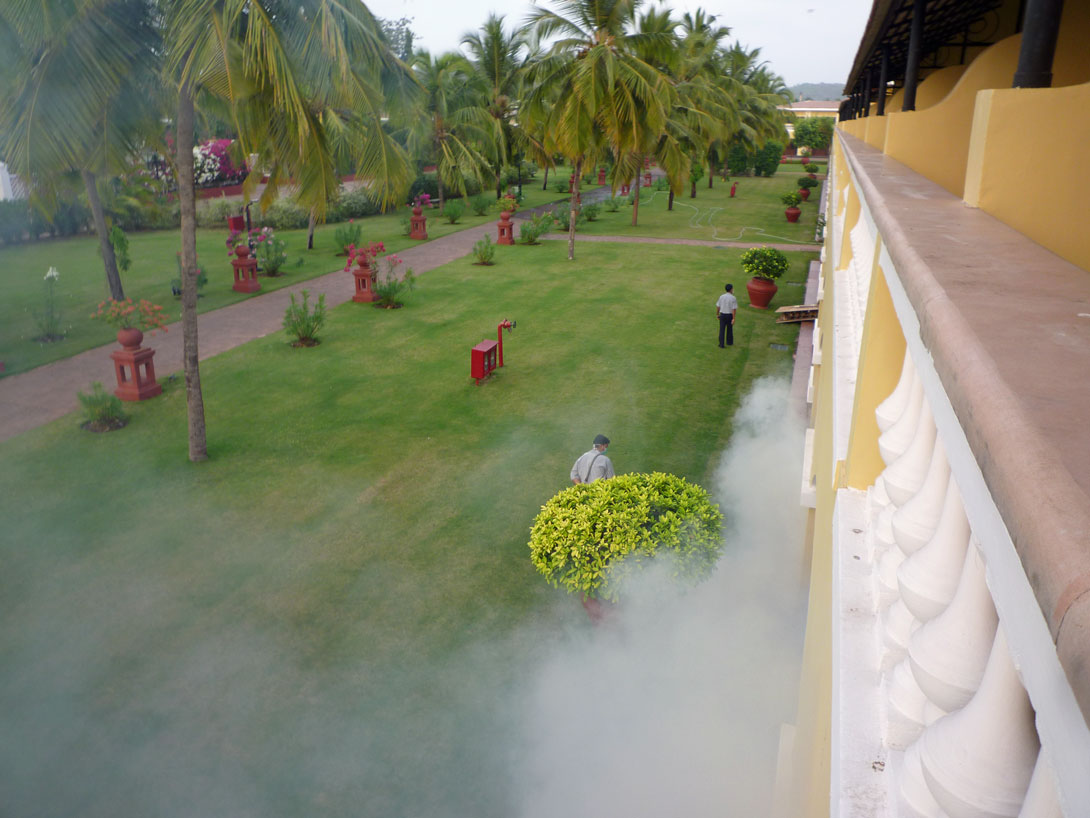 Insektensprühmittel am frühen Morgen