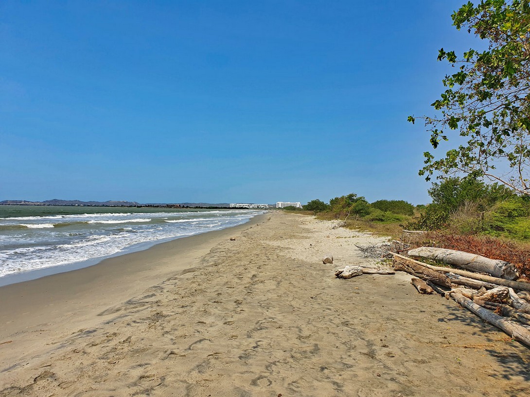 Der Manzanioo Strand nach Nordosten