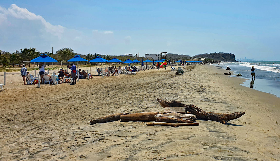 Sonnenschirme und Parzellen am Manzanillo Beach