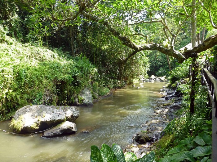 Ein Fluss fließt durch das Maya-Ubud Resort