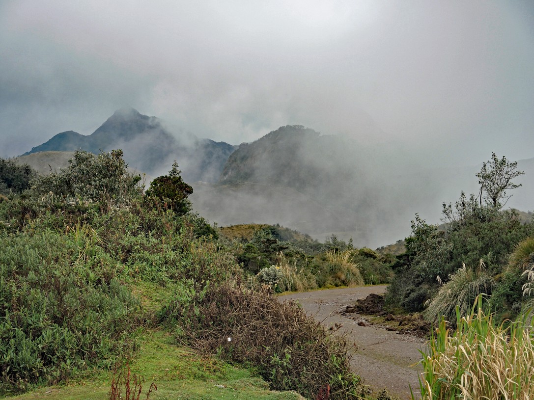 Nebel in den Anden am Amazonasbecken