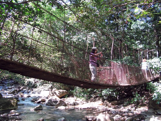 Hängebrücke im Rincon de la Vieja Nationalpark