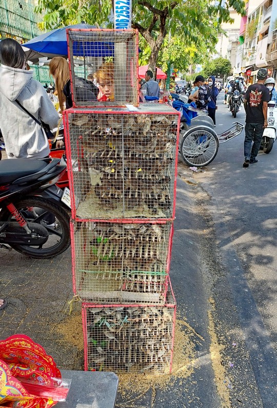 Vogelverkäufer an der Straße