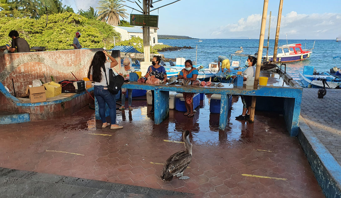 Fischverkauf am Hafen von Puerto Ayora