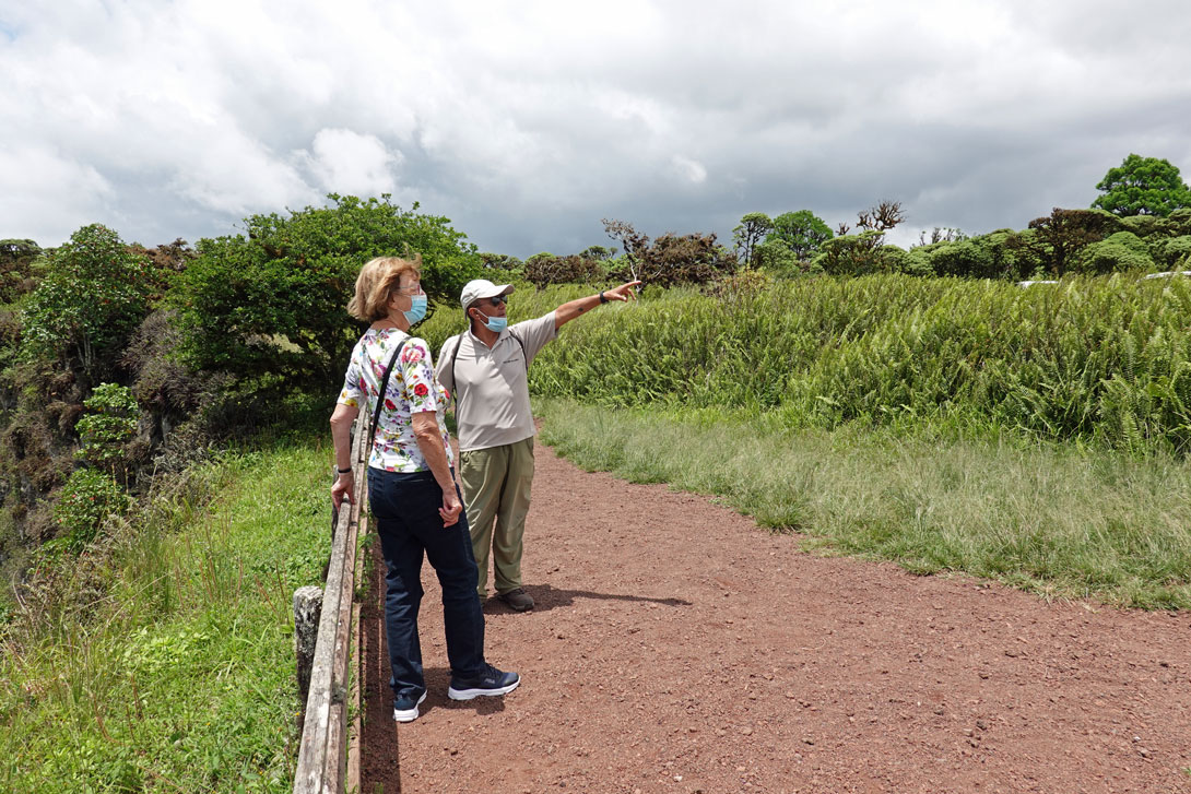 Jhover erklärt die Scalesias und Katzenkrallen