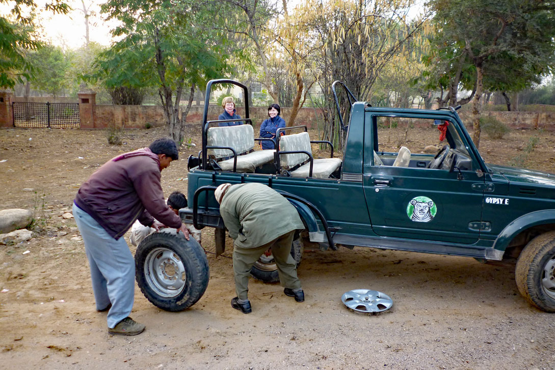 Reifenwechsel in Sariska