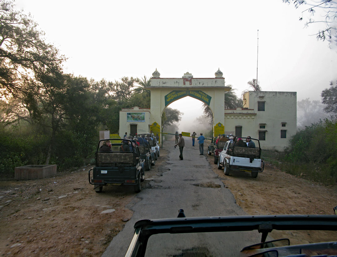 Jeep Tour durch den Sariska Nationalpark