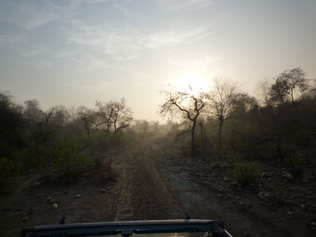 Sonnenaufgang im Sariska Nationalpark