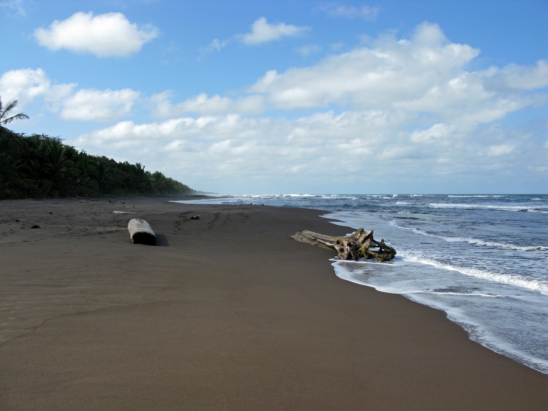 Strand im Tortuguero Nationalpark