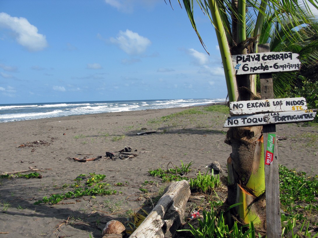 Strand im Tortuguero Nationalpark