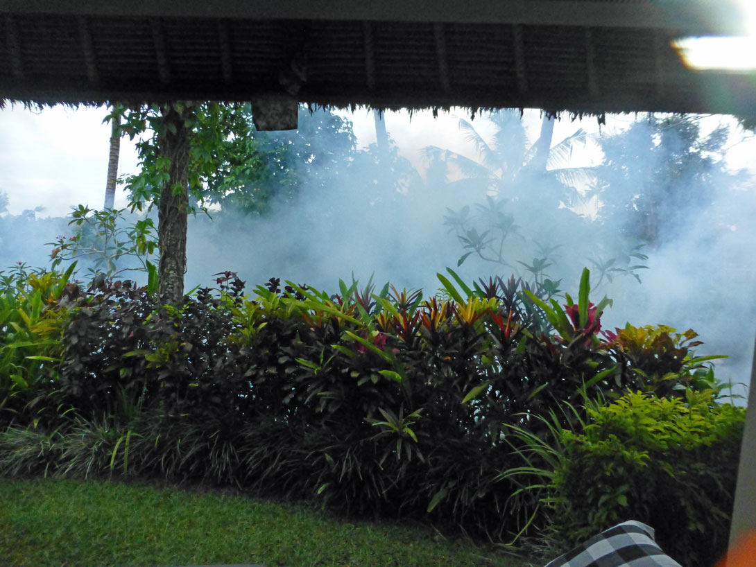 Maya Ubud wird mit Insektiziden eingesprüht
