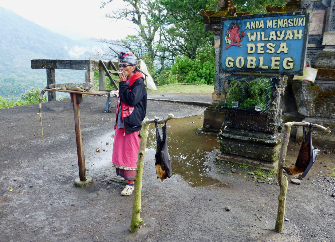 Waran und fliegende Hunde in Tambligan