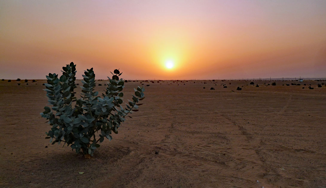 Sonnenuntergang in der Wüste an der Grenze zum Oman